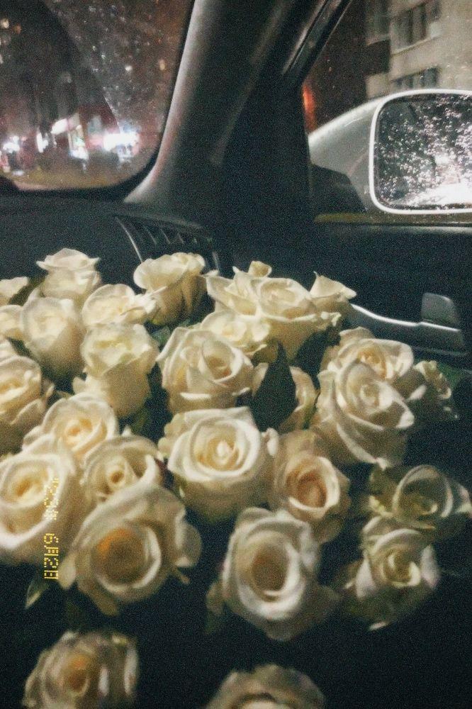 Secret Garden's Enchanted Blossoms
